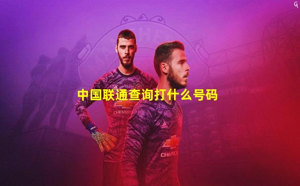 中国联通查询打什么号码