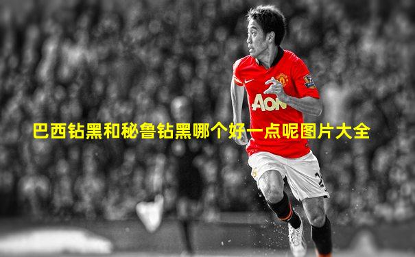 巴西钻黑和秘鲁钻黑哪个好一点呢图片大全
