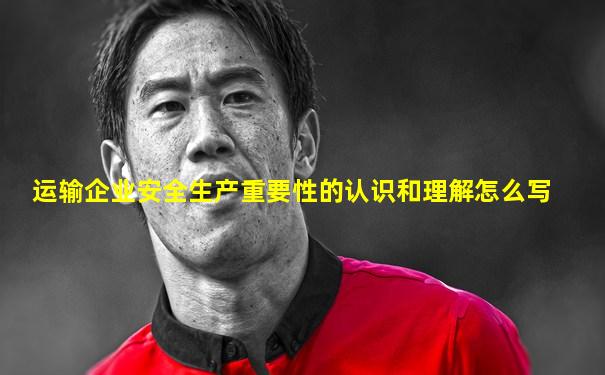 运输企业安全生产重要性的认识和理解怎么写