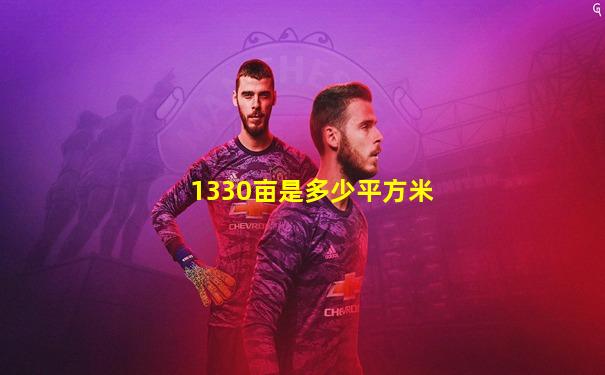 1330亩是多少平方米