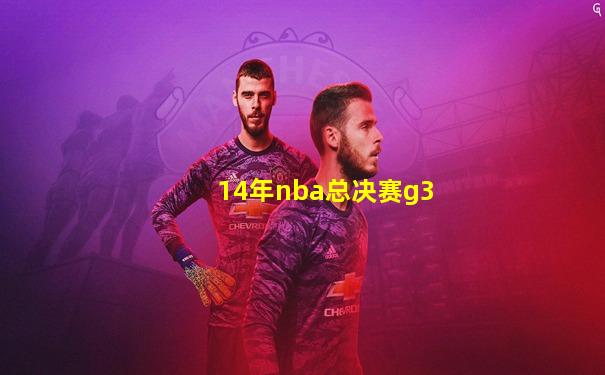 14年nba总决赛g3