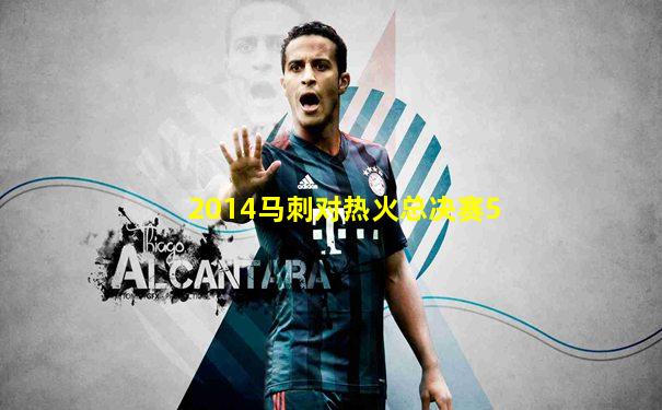 2014马刺对热火总决赛5