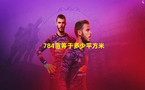 784亩等于多少平方米
