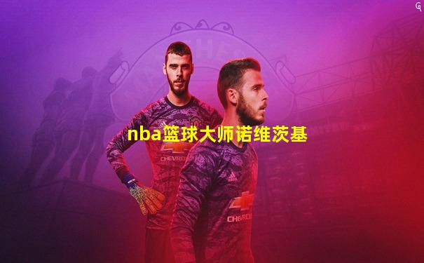nba篮球大师诺维茨基