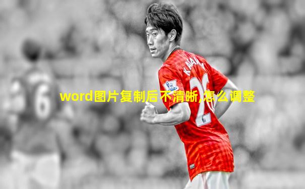 word图片复制后不清晰,怎么调整