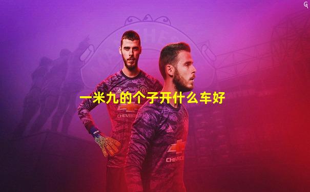 一米九的个子开什么车好