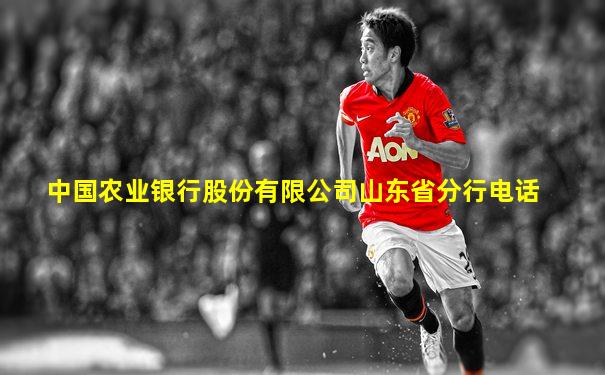 中国农业银行股份有限公司山东省分行电话