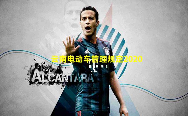 云南电动车管理规定2020