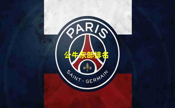 公牛东部排名