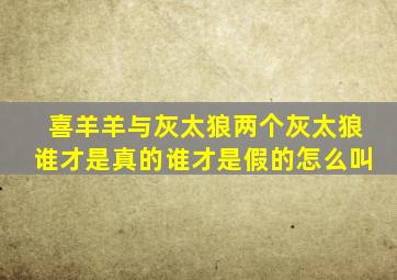 喜羊羊与灰太狼两个灰太狼谁才是真的谁才是假的怎么叫