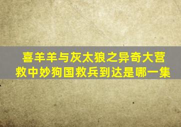 喜羊羊与灰太狼之异奇大营救中妙狗国救兵到达是哪一集