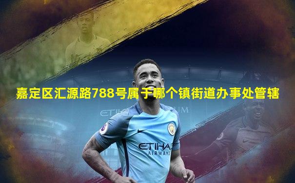 嘉定区汇源路788号属于哪个镇街道办事处管辖