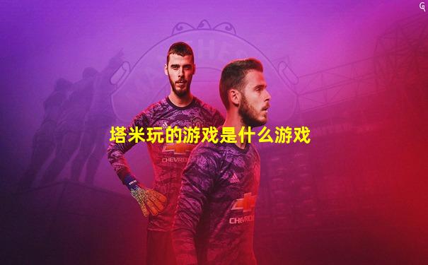 塔米玩的游戏是什么游戏