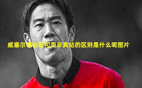 威塞尔顿钻石和南非真钻的区别是什么呢图片