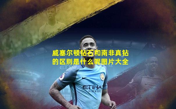 威塞尔顿钻石和南非真钻的区别是什么呢图片大全