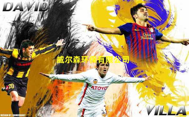 威尔森环保有限公司