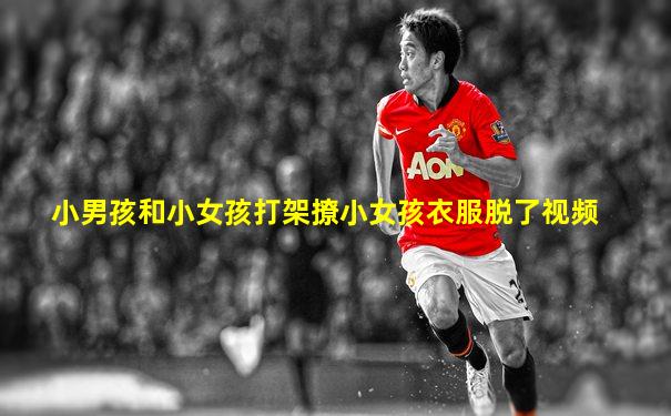 小男孩和小女孩打架撩小女孩衣服脱了视频