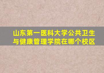 山东第一医科大学公共卫生与健康管理学院在哪个校区