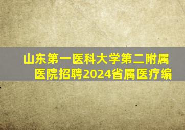 山东第一医科大学第二附属医院招聘2024省属医疗编