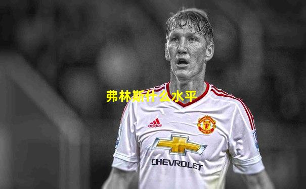 弗林斯什么水平