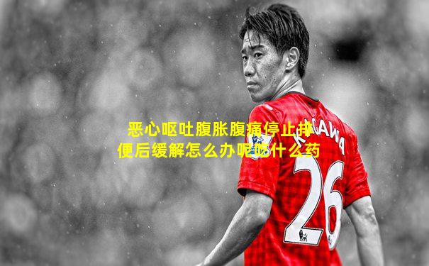 恶心呕吐腹胀腹痛停止排便后缓解怎么办呢吃什么药