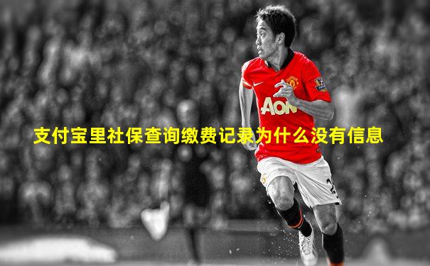 支付宝里社保查询缴费记录为什么没有信息
