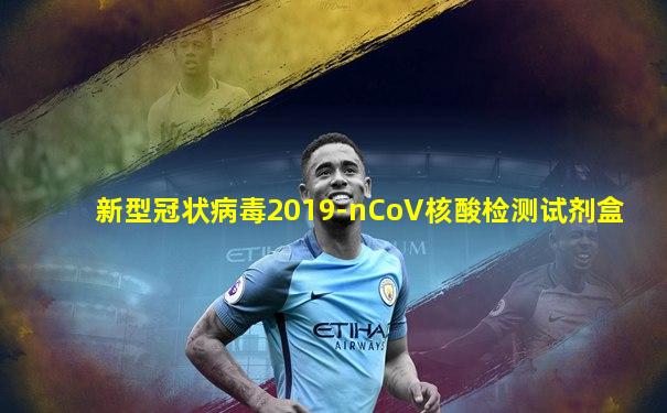 新型冠状病毒2019-nCoV核酸检测试剂盒