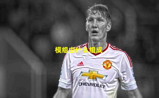 模组由什么组成