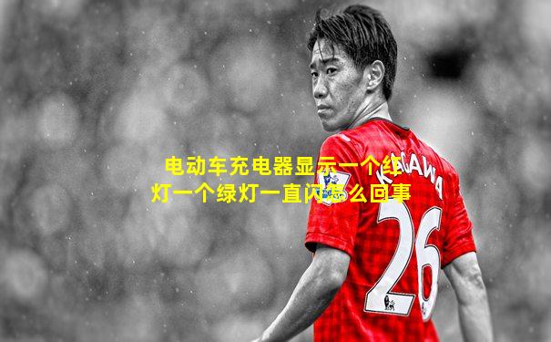 电动车充电器显示一个红灯一个绿灯一直闪怎么回事