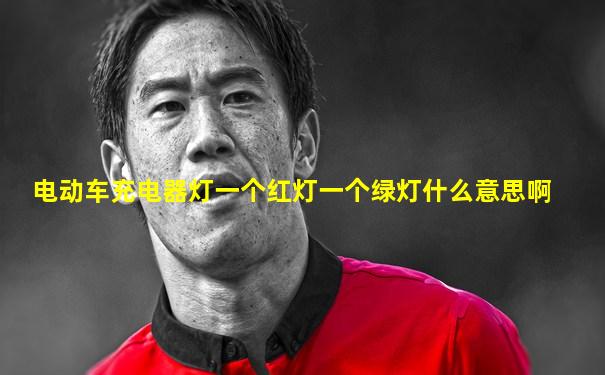 电动车充电器灯一个红灯一个绿灯什么意思啊