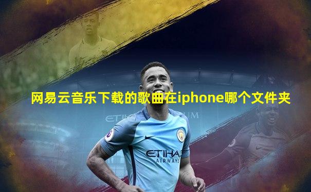 网易云音乐下载的歌曲在iphone哪个文件夹