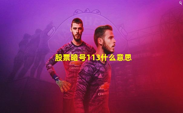股票暗号113什么意思