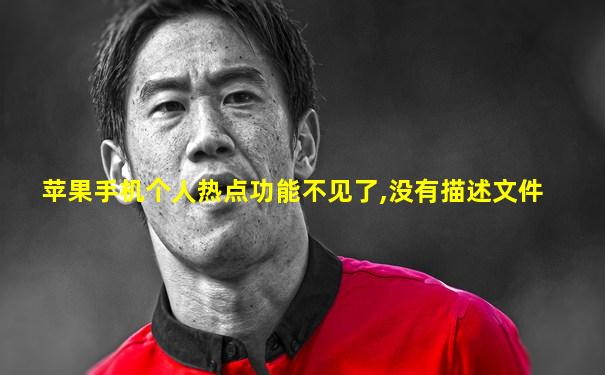 苹果手机个人热点功能不见了,没有描述文件