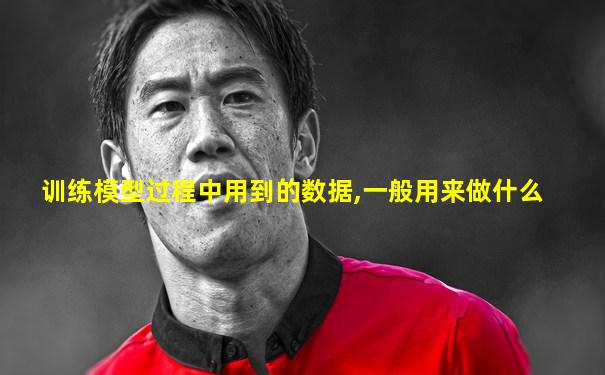 训练模型过程中用到的数据,一般用来做什么